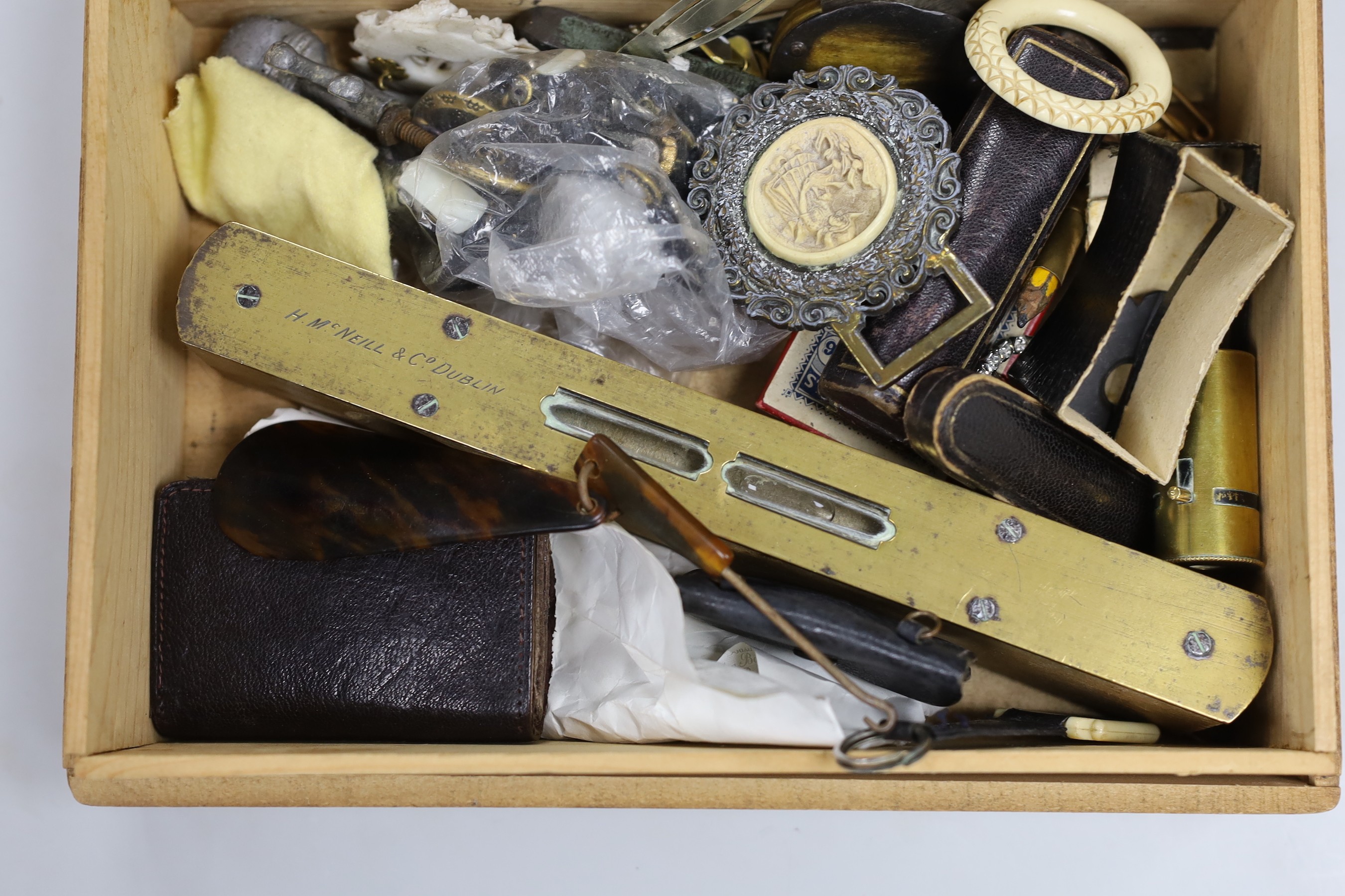 A collection of various curiosities